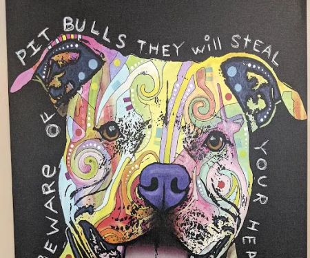 Chicago Heights Animal Hospital
