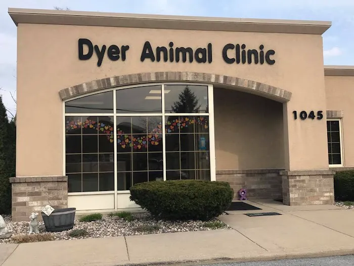 Dyer Animal Clinic Picture 1