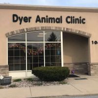 Dyer Animal Clinic ico