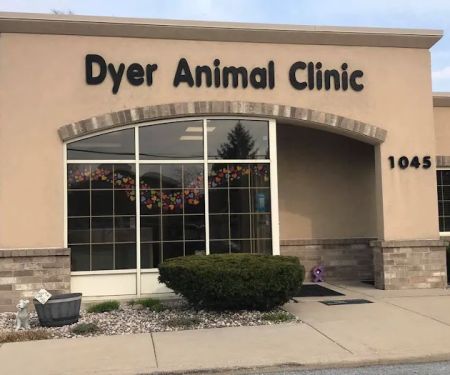 Dyer Animal Clinic