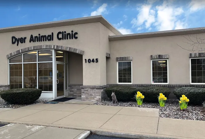 Dyer Animal Clinic Picture 3