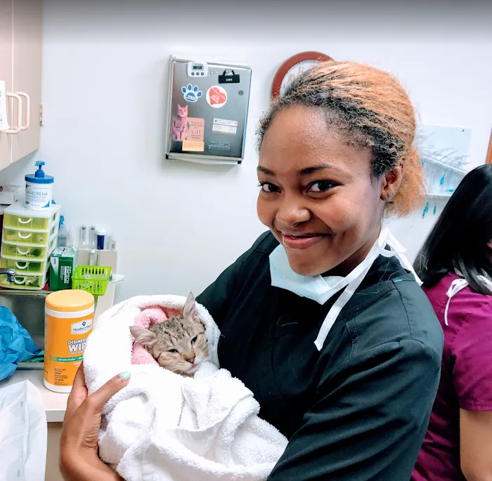 Dyer Animal Clinic Picture 6