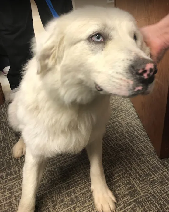 Dyer Animal Clinic Picture 9