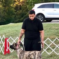 Foster's Kennel/ Park Forest Animal ico
