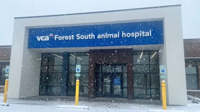 VCA Forest South Animal Hospital Picture 1