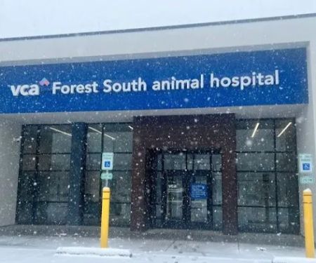 VCA Forest South Animal Hospital