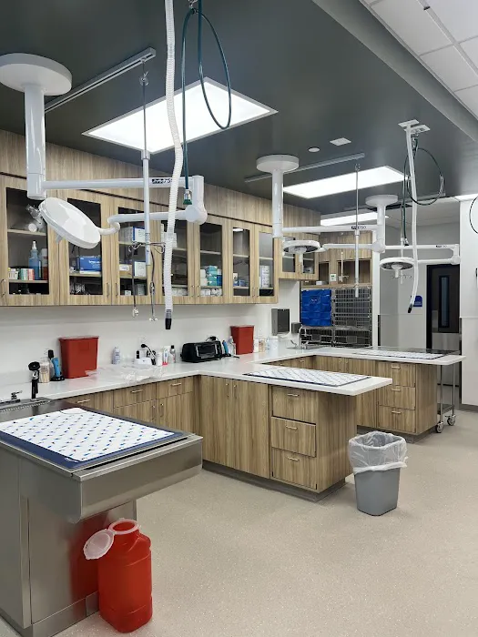 VCA Forest South Animal Hospital Picture 4