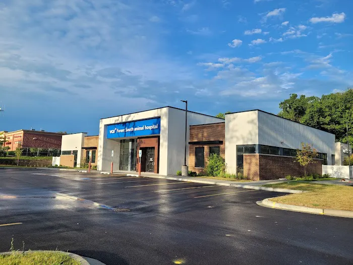 VCA Forest South Animal Hospital Picture 9