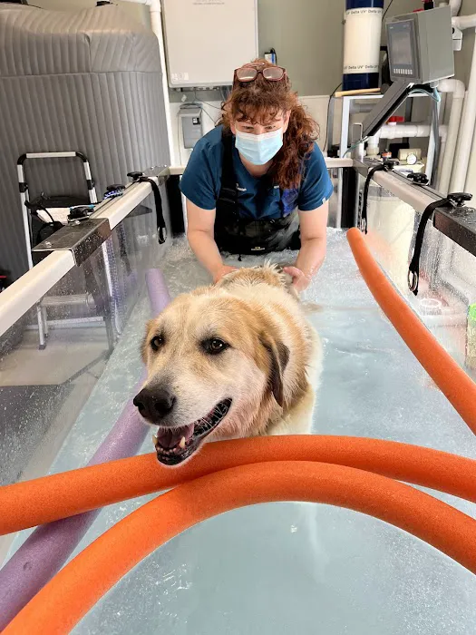 Veterinary Orthopedic Center Picture 8