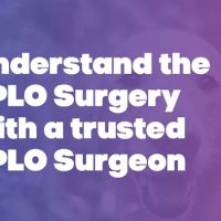 TPLO Chicago ico