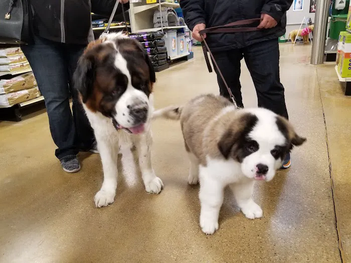Banfield Pet Hospital Picture 1