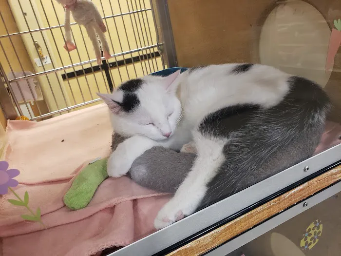 Banfield Pet Hospital Picture 10