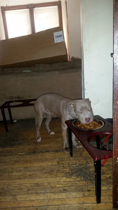 Animal Medical Center Of Sauk Village Picture 4
