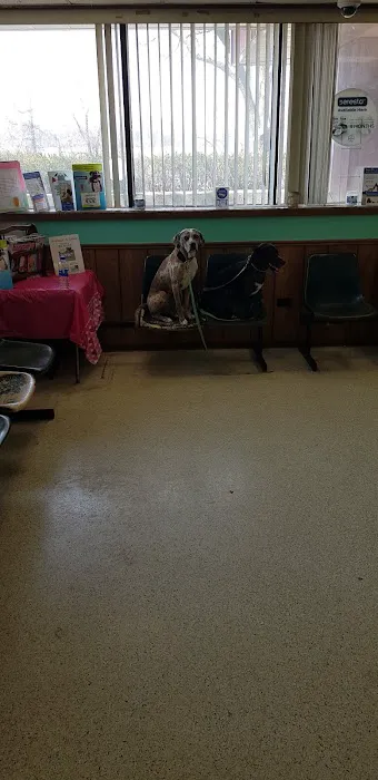 Animal Medical Center Of Sauk Village Picture 5