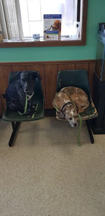 Animal Medical Center Of Sauk Village Picture 8