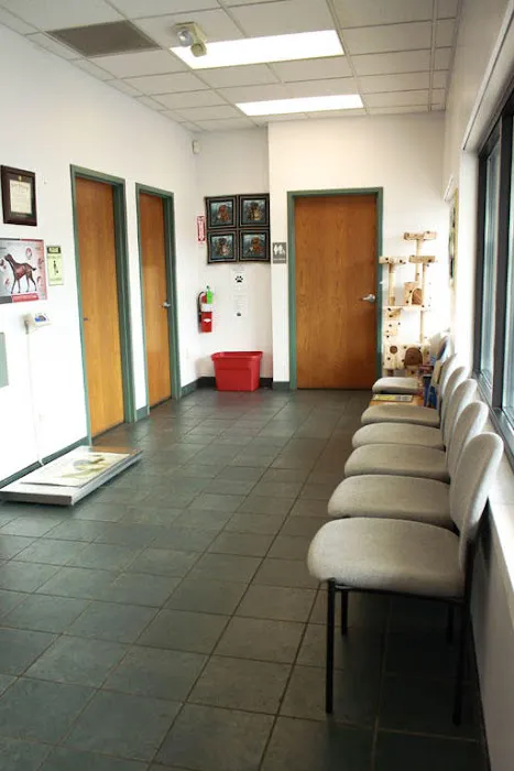 Deer Run Animal Hospital Picture 2