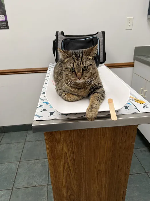 Deer Run Animal Hospital Picture 1