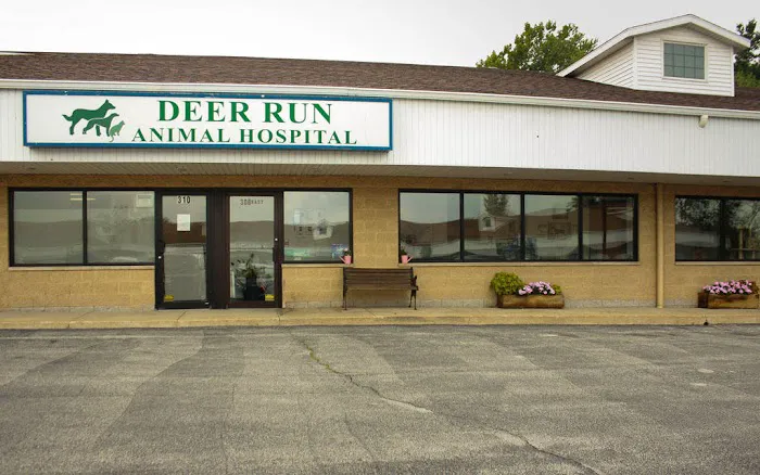 Deer Run Animal Hospital Picture 7