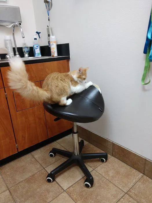 Banfield Pet Hospital Picture 1