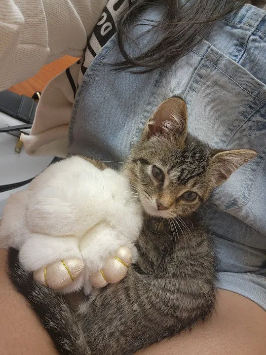 Banfield Pet Hospital Picture 6