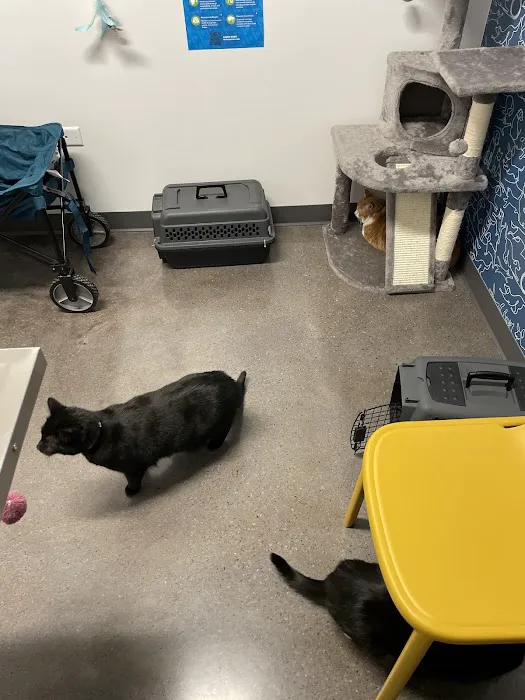 Thrive Pet Healthcare - Orland Park (Now Doing Business As Prairie State Veterinary Clinic) Picture 8