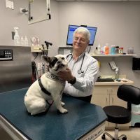 Prairie State Veterinary Clinic ico
