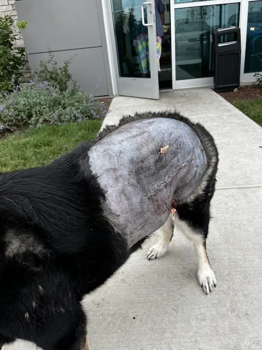 South Suburban Low Cost Veterinary Services Picture 9