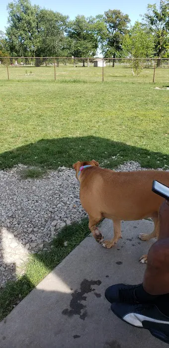 South Suburban Spay and Neuter Clinic Picture 3