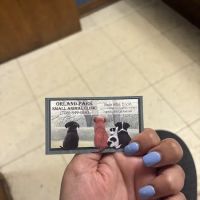 Orland Park Small Animal Clinic ico