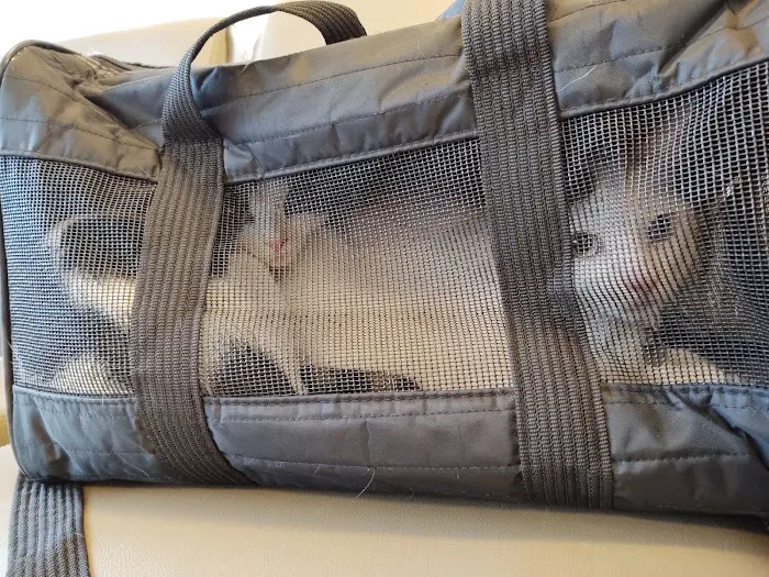TLC First Animal Hospital Picture 3