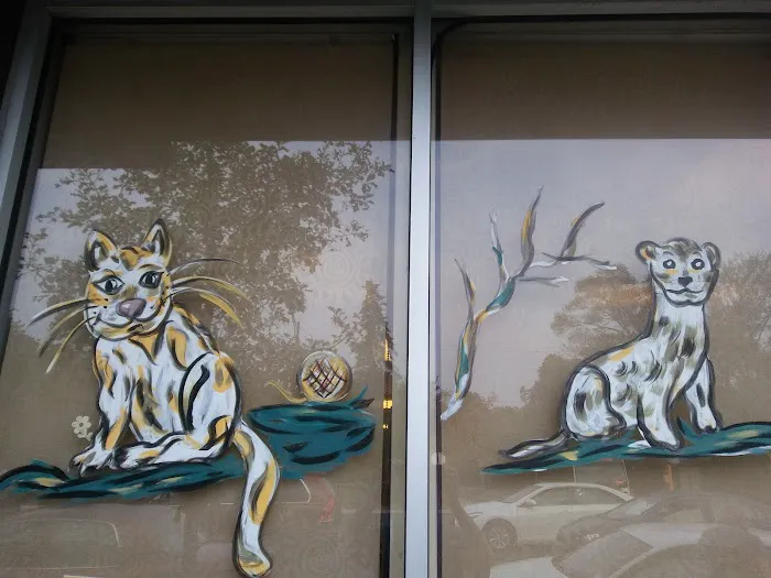 TLC First Animal Hospital Picture 5
