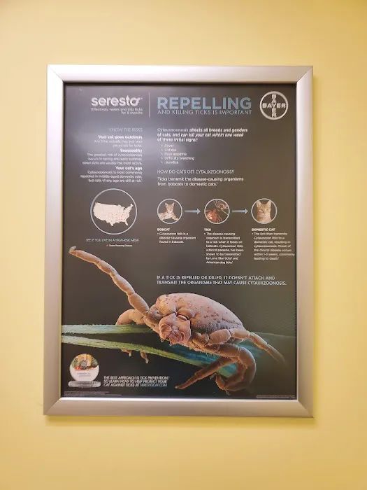 TLC First Animal Hospital Picture 9