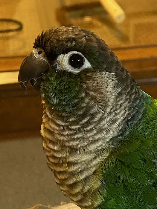 Niles Animal Hospital Picture 6