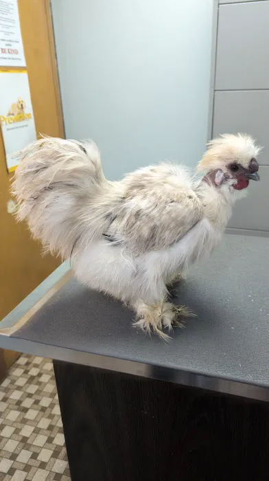 Niles Animal Hospital Picture 7