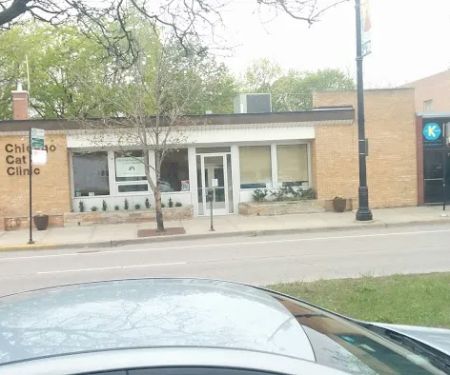 Chicago Cat Clinic