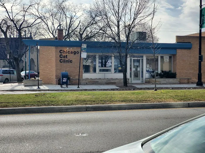 Chicago Cat Clinic Picture 6