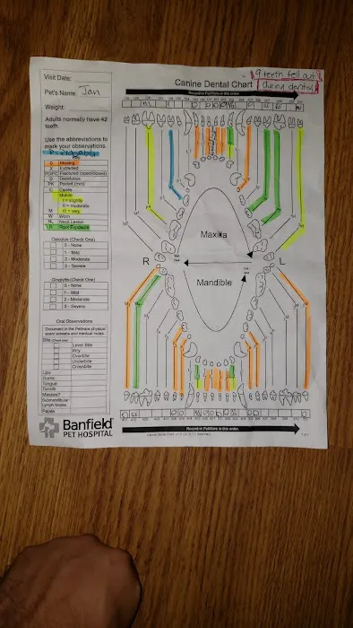 Banfield Pet Hospital Picture 9