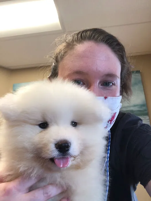 Riser Animal Hospital Picture 3