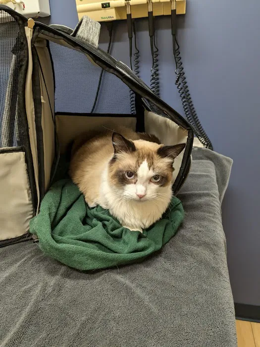 Riser Animal Hospital Picture 7