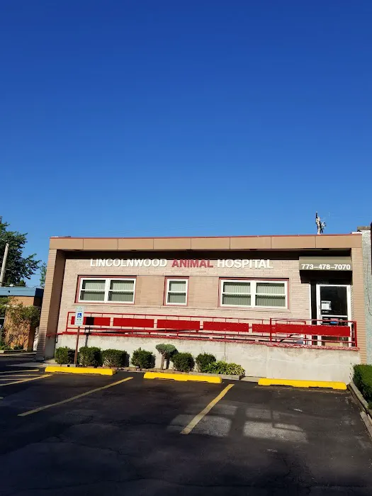 Lincolnwood Animal Hospital Picture 3