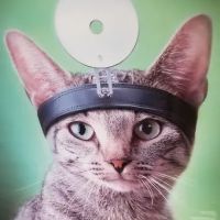 Lincolnwood Animal Hospital ico