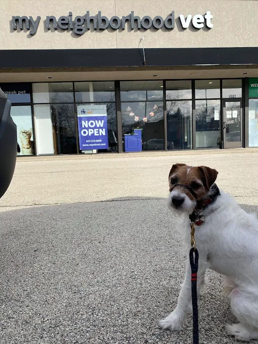 My Neighborhood Vet Picture 2