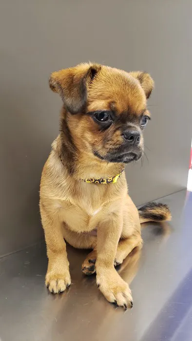 My Neighborhood Vet Picture 5