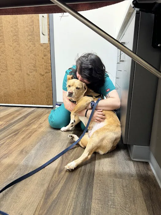 My Neighborhood Vet Picture 9
