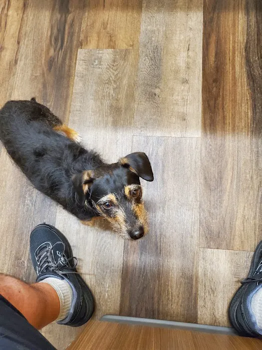 My Neighborhood Vet Picture 10