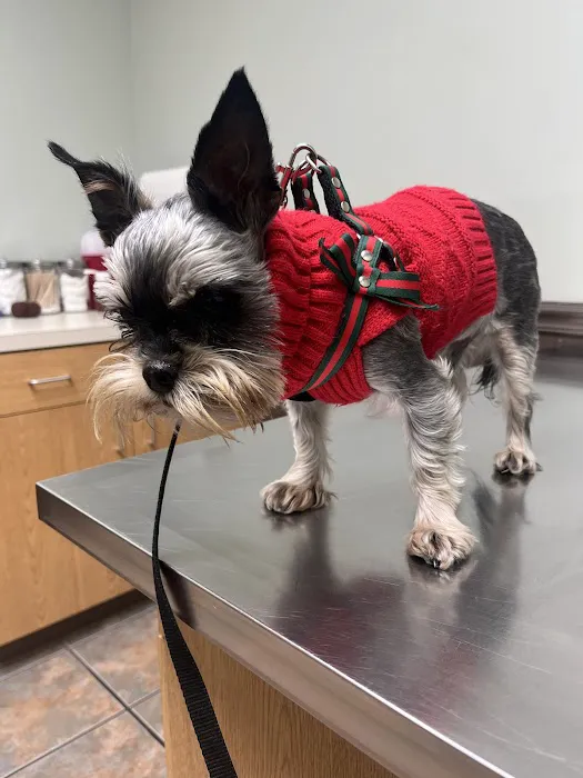Hobson Valley Animal Clinic Picture 4