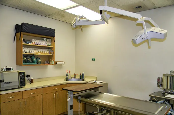 Hobson Valley Animal Clinic Picture 3