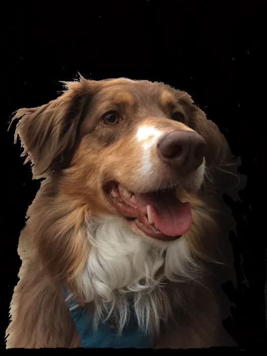 Hobson Valley Animal Clinic Picture 8
