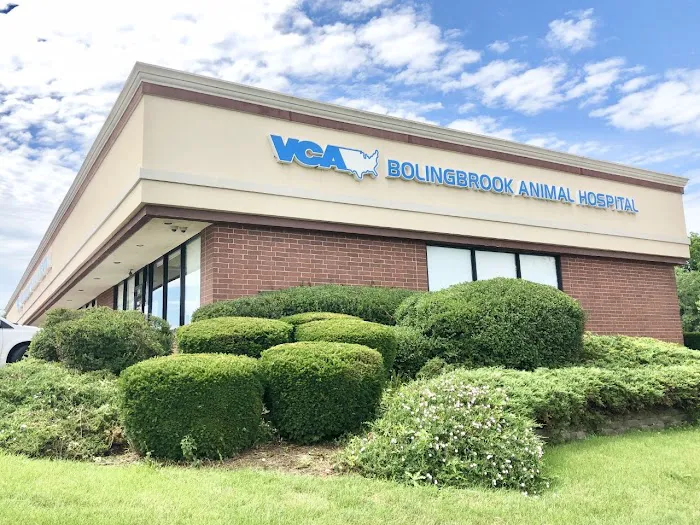 VCA Bolingbrook Animal Hospital Picture 2