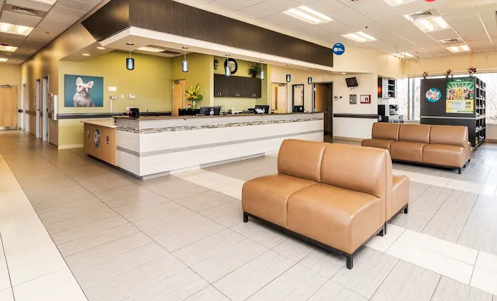 VCA Bolingbrook Animal Hospital Picture 4
